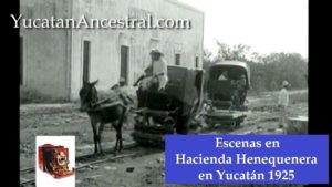 Hacienda Henequenera en Yucatán 1925