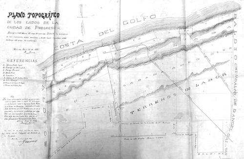 Informe oficial sobre El Progreso 1855