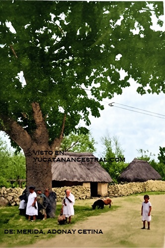 Hacienda Tanlum Mérida