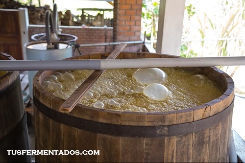 Haciendas Yokat y San José